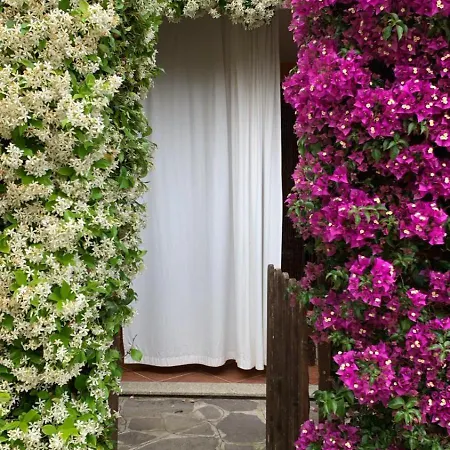 Lulamax Sardegna * Budoni