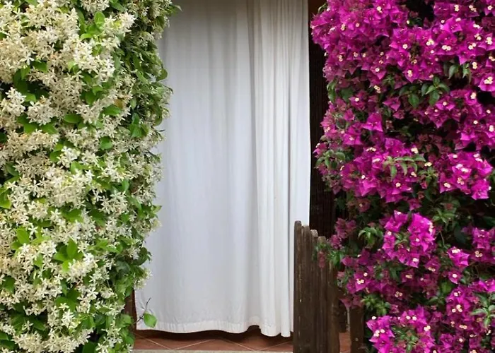 Lulamax Sardegna * Budoni